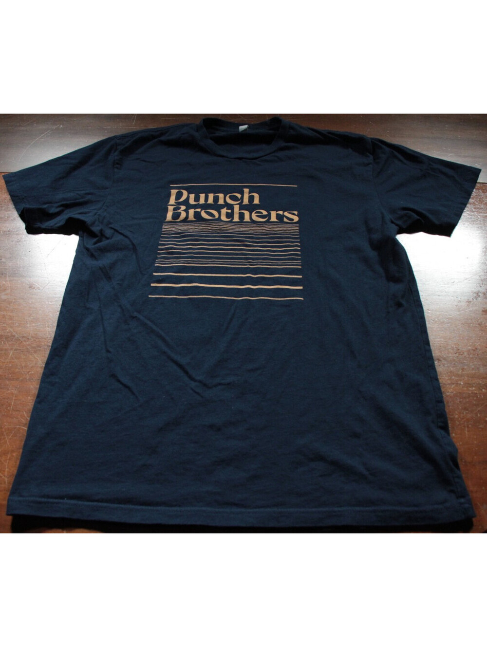 Punch Brothers Tour T-Shirt Concert Shirt L Blue - Picture 2 of 3